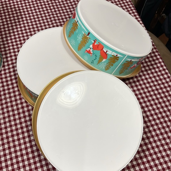 Fox Tupperware Bowl set - Picture 4 of 4